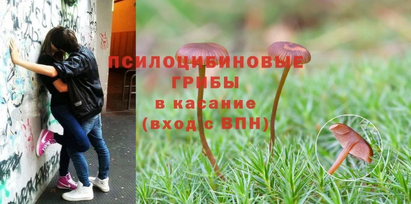 мет Алзамай